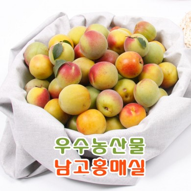 [특품] 광양 다압 남고 홍매실 20KG